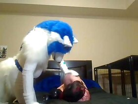 Furry gay sex